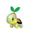 Turtwig