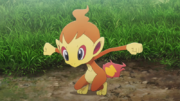 EVO05 Chimchar.png