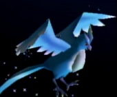 Articuno en Melee.