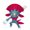 Weavile