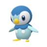 Piplup