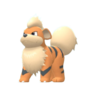 Growlithe