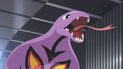 GEN05 Arbok.png