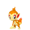 Chimchar