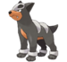 Houndour