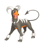 Houndoom macho