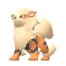 Arcanine