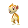 Chimchar