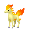 Ponyta