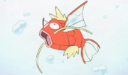 TOON04 Magikarp.png