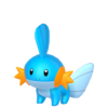 Mudkip