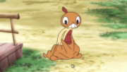 TOON01 Scraggy.png