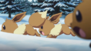 NH02 Eevee.png