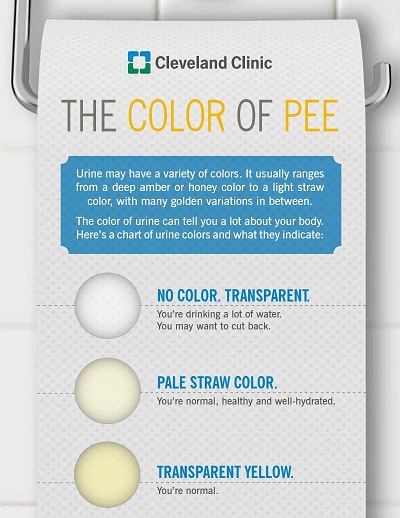 urine color chart free download