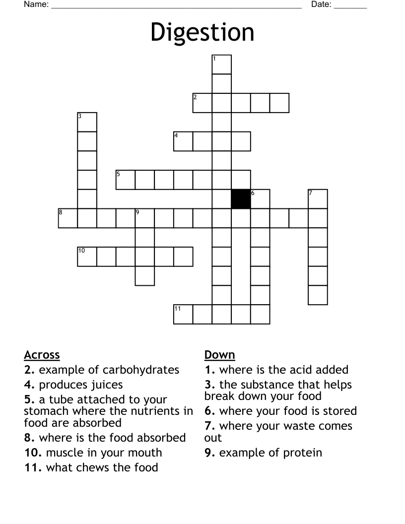 Digestion Crossword