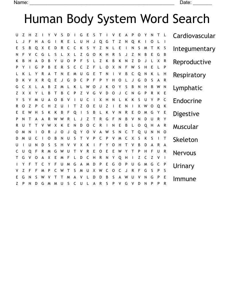 Human Body System Word Search - WordMint