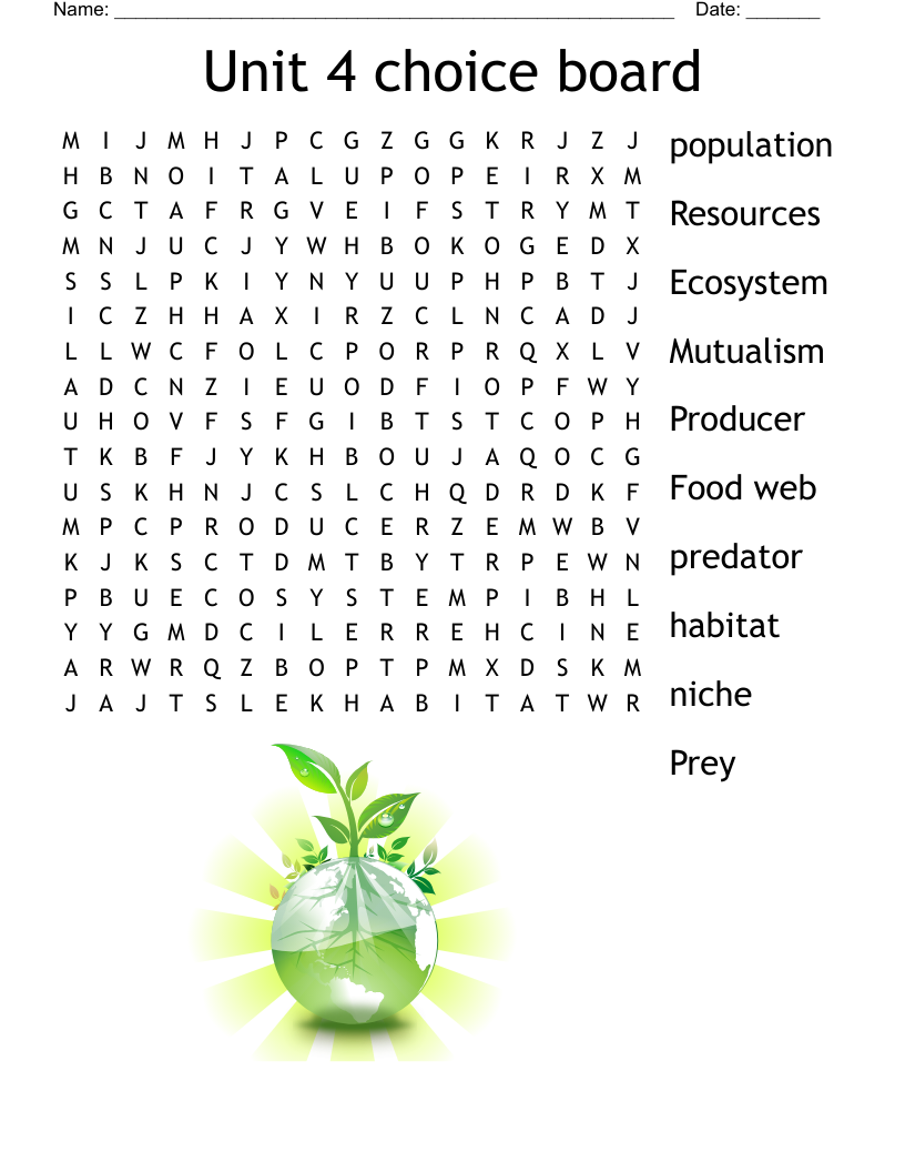 Unit 4 choice board Word Search