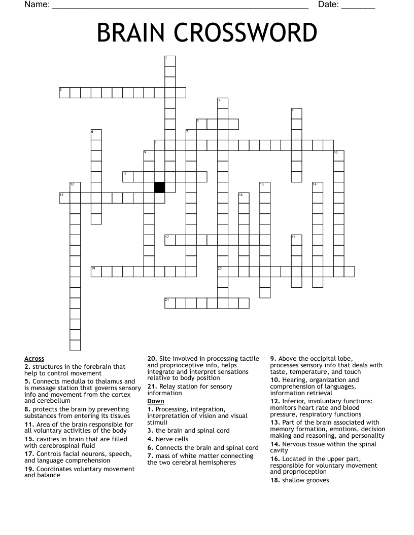 The Nervous System Crossword - WordMint