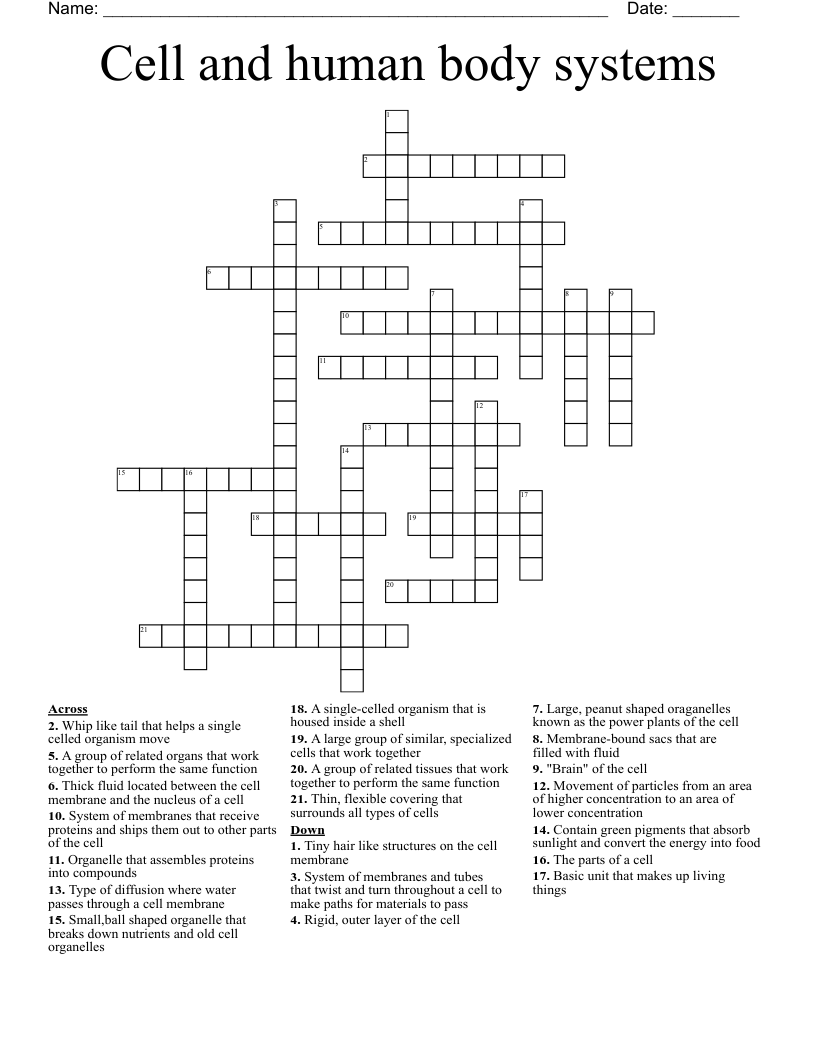 Cell and human body systems Crossword - WordMint