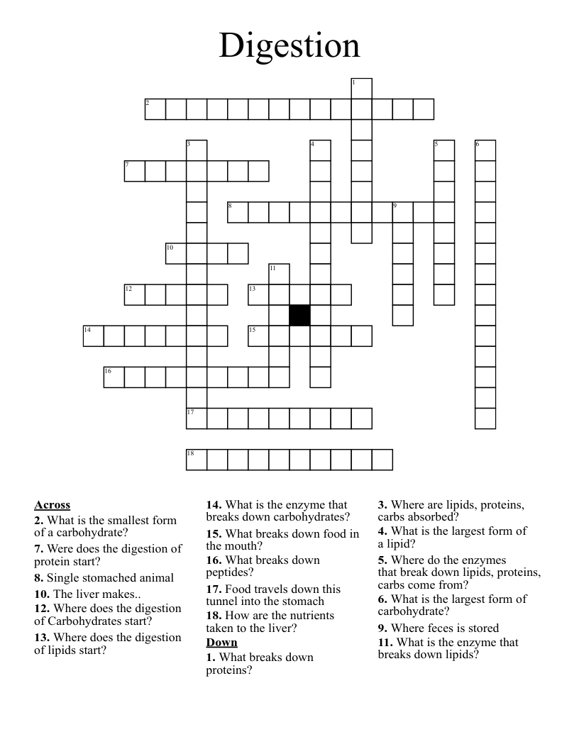 Digestion Crossword