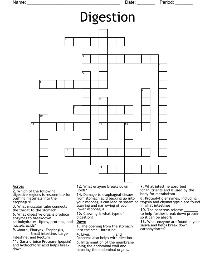 Digestion Crossword