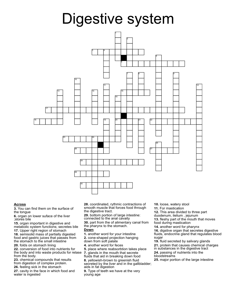 Digestive system Crossword