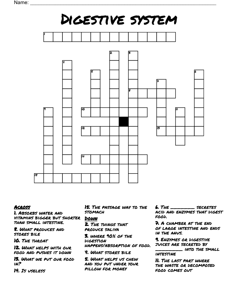 Digestive system Crossword