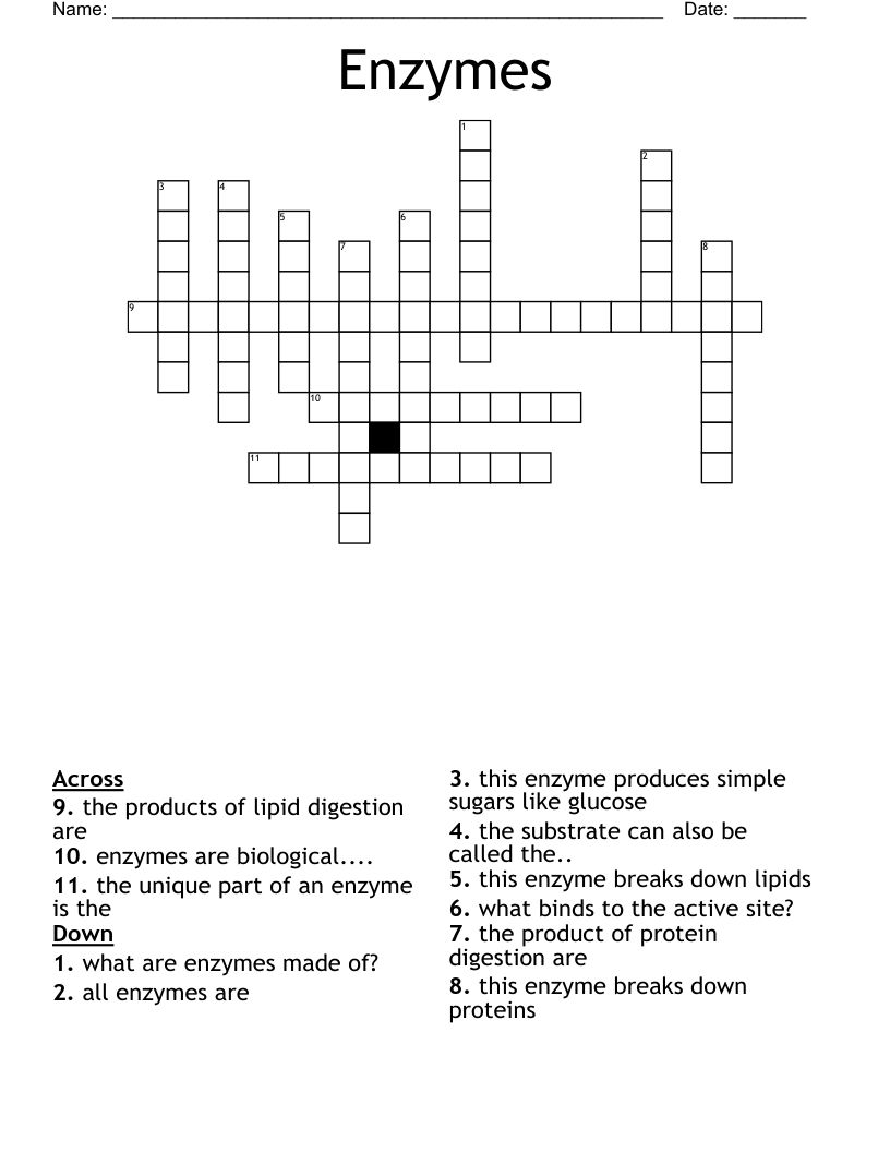 Enzymes Crossword