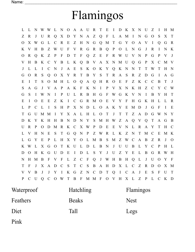 Flamingos  Word Search