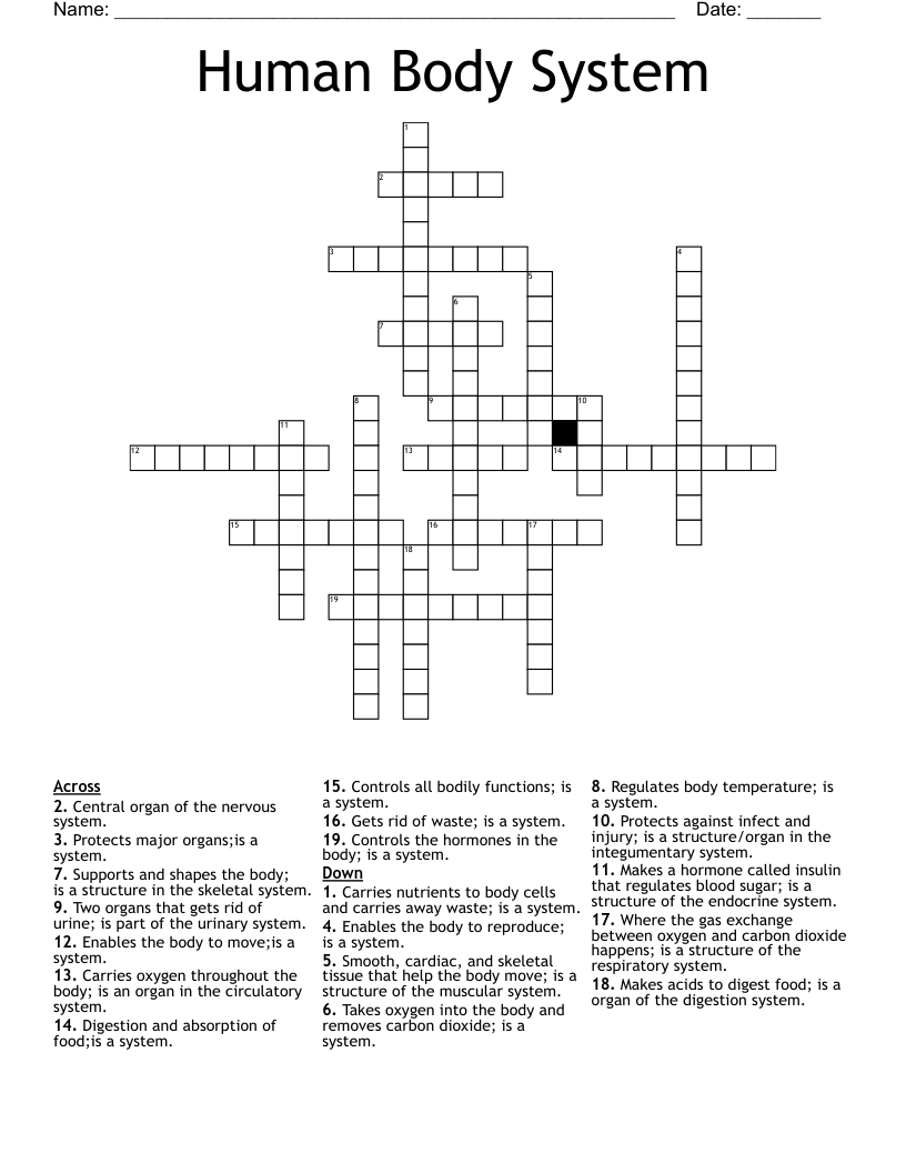 Human Body System Crossword - WordMint