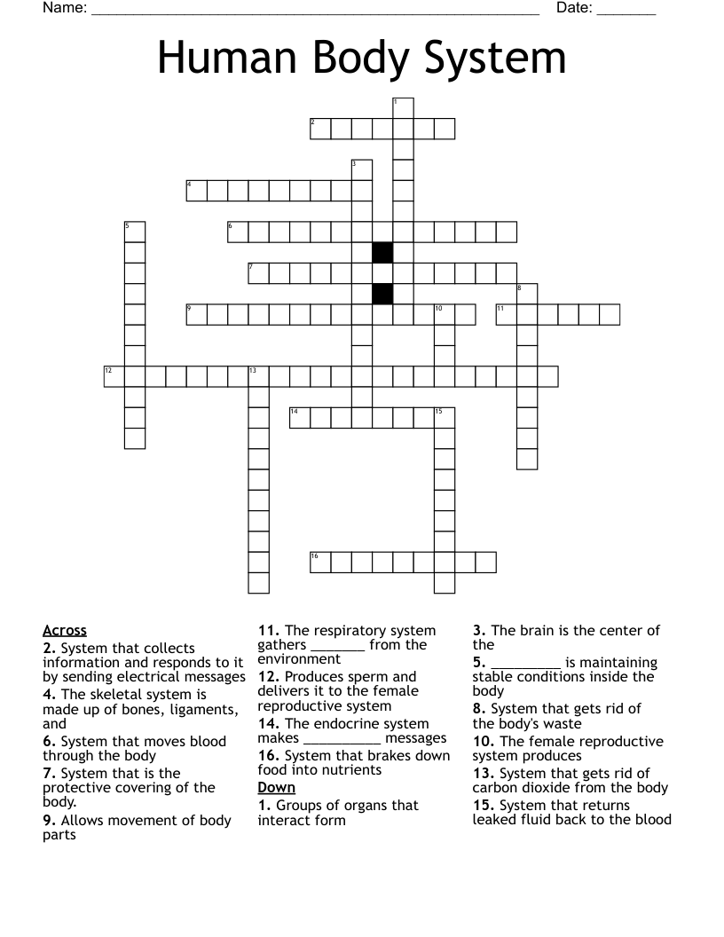 Human Body System Crossword - WordMint