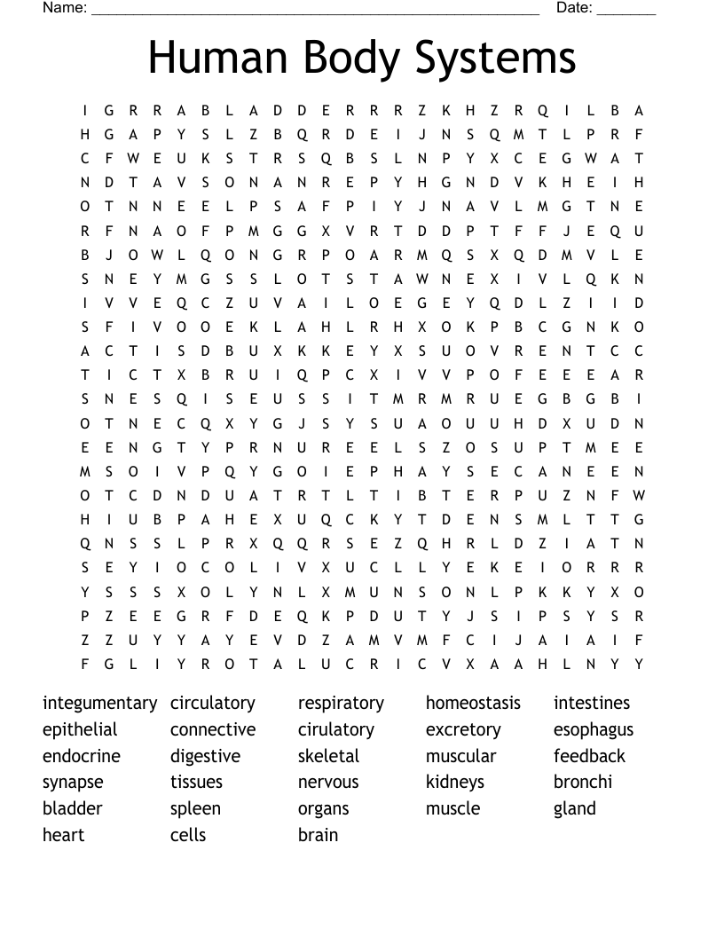 Human Body Systems Word Search - WordMint