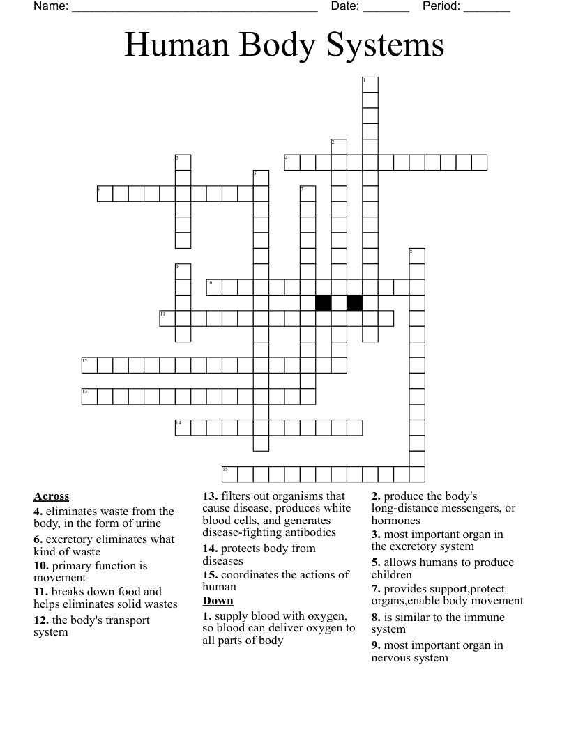 Chapter 6 Anatomy and Physiology; Body Systems Crossword - WordMint