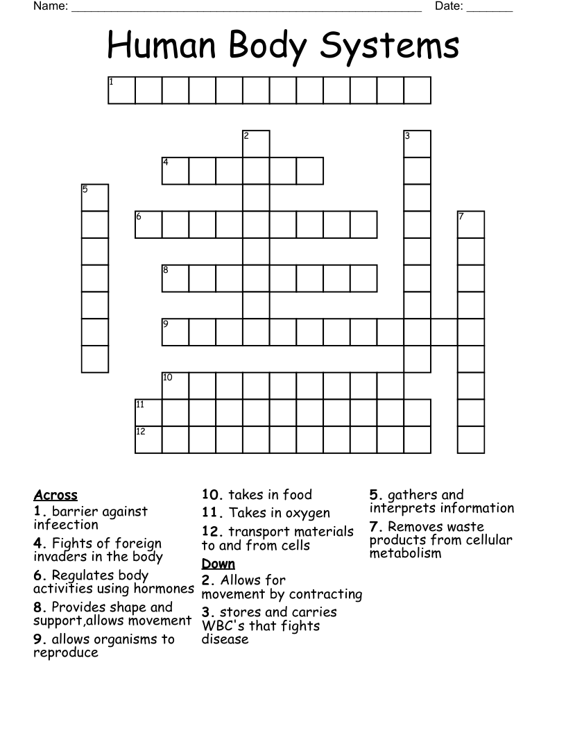 Human Body Systems Crossword - WordMint