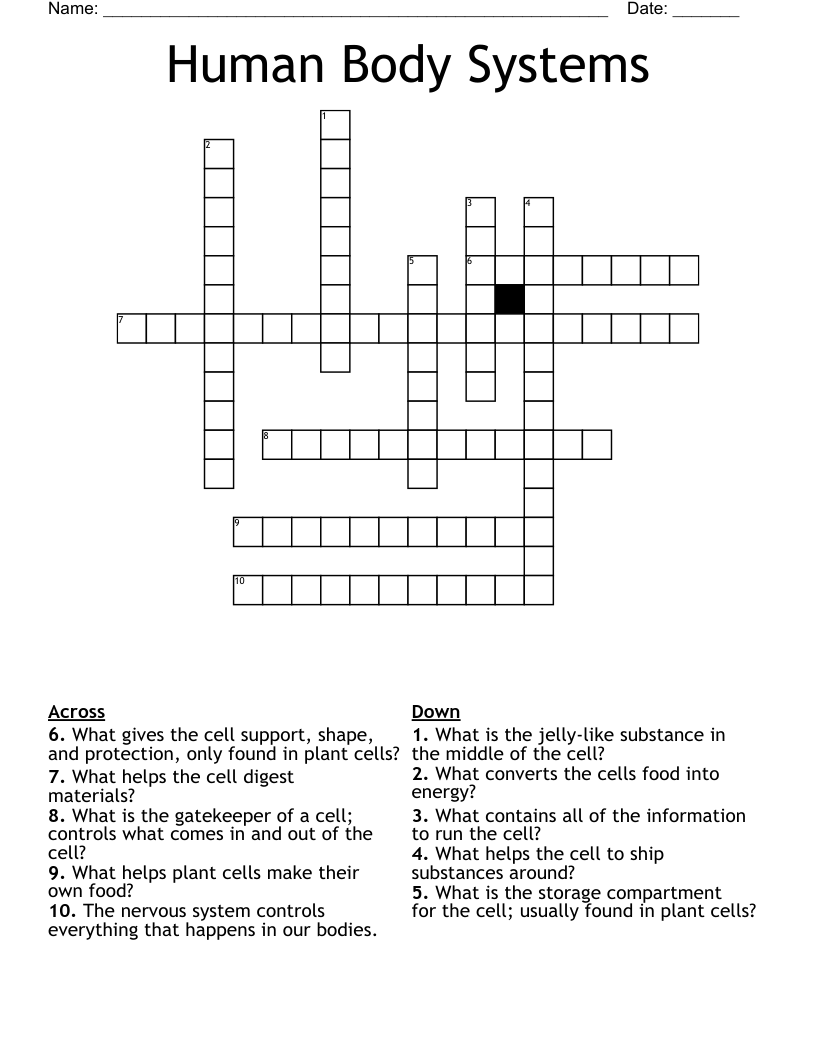 Human Body Systems Crossword - WordMint