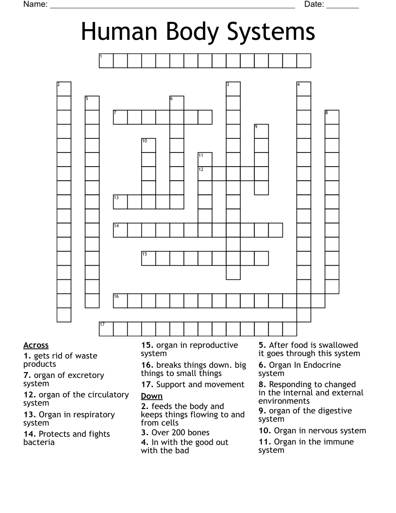 Human Body Systems Crossword - WordMint