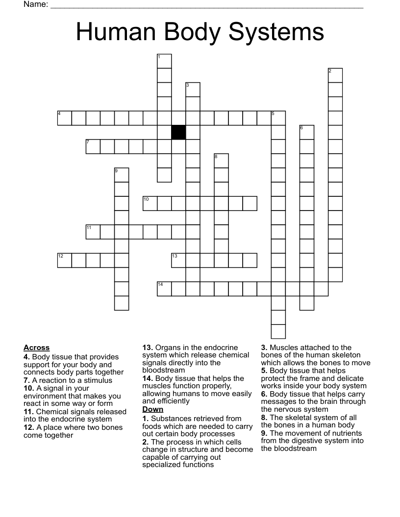 Human Body Systems Crossword - WordMint