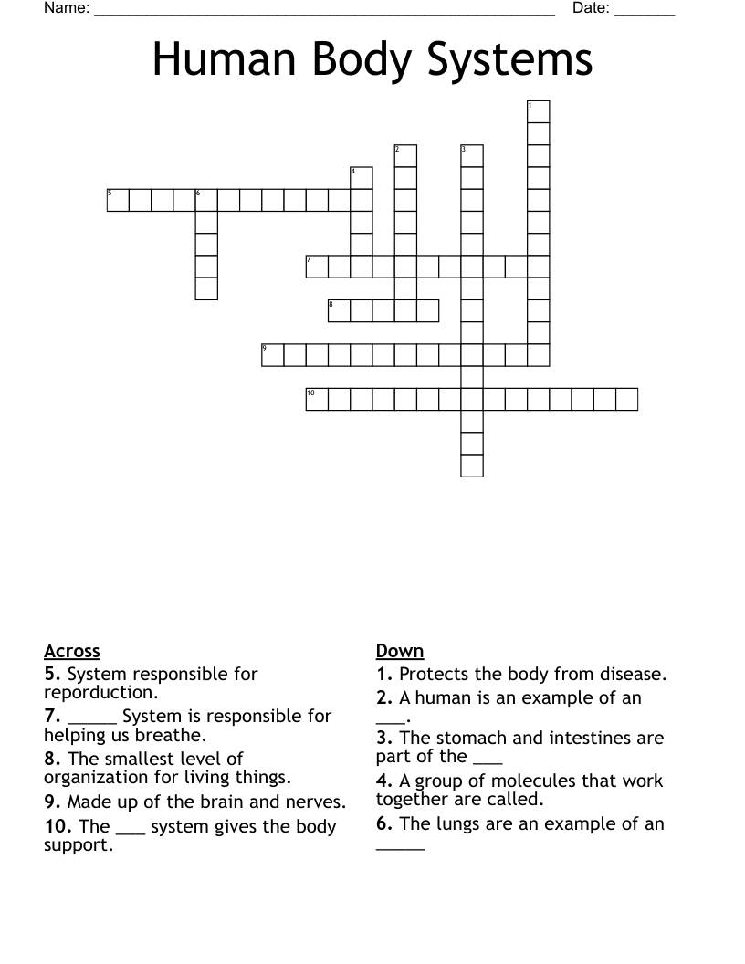 Human Body Systems Crossword - WordMint