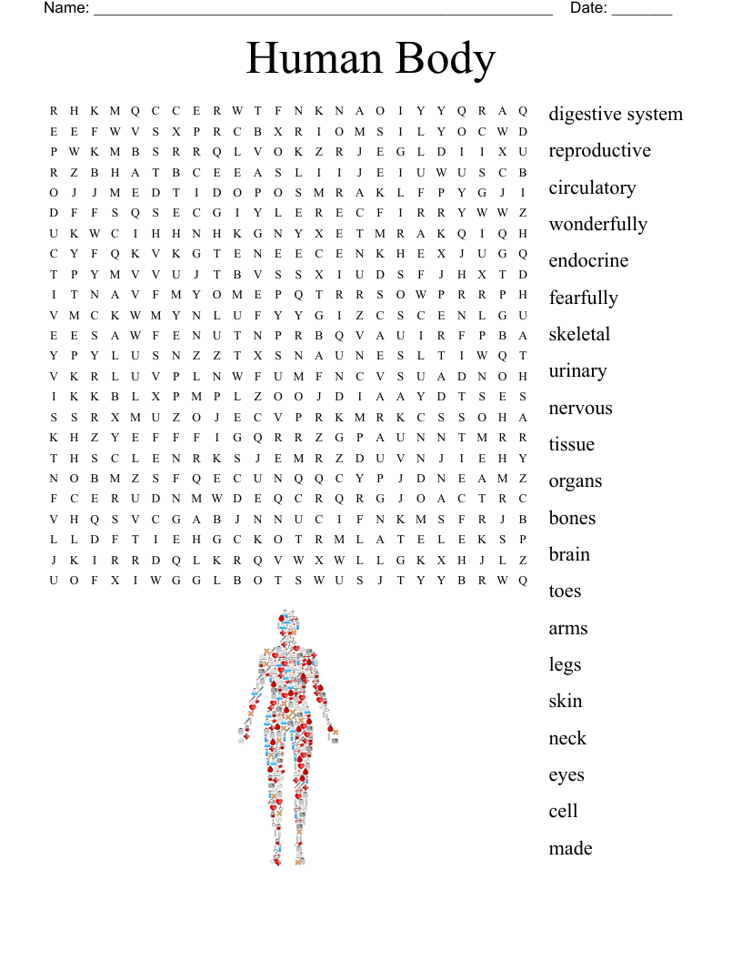 Human Body Word Search - WordMint