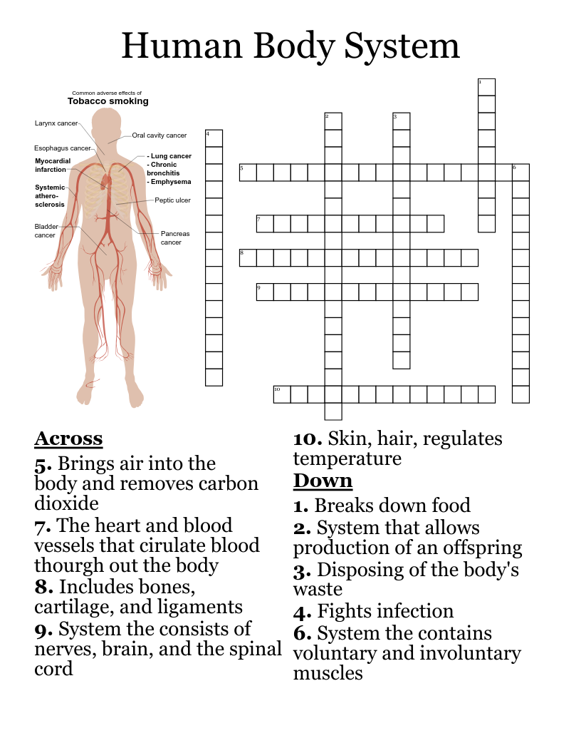 Human Body System Worksheets - Worksheets For Kindergarten