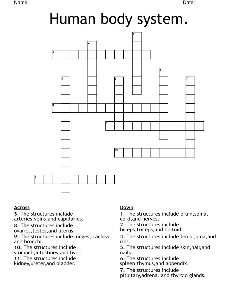 Human body system. Crossword - WordMint