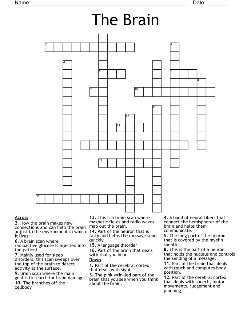 The Brain Crossword - WordMint