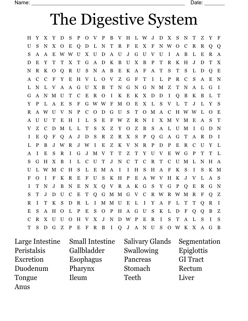 The Digestive System Word Search