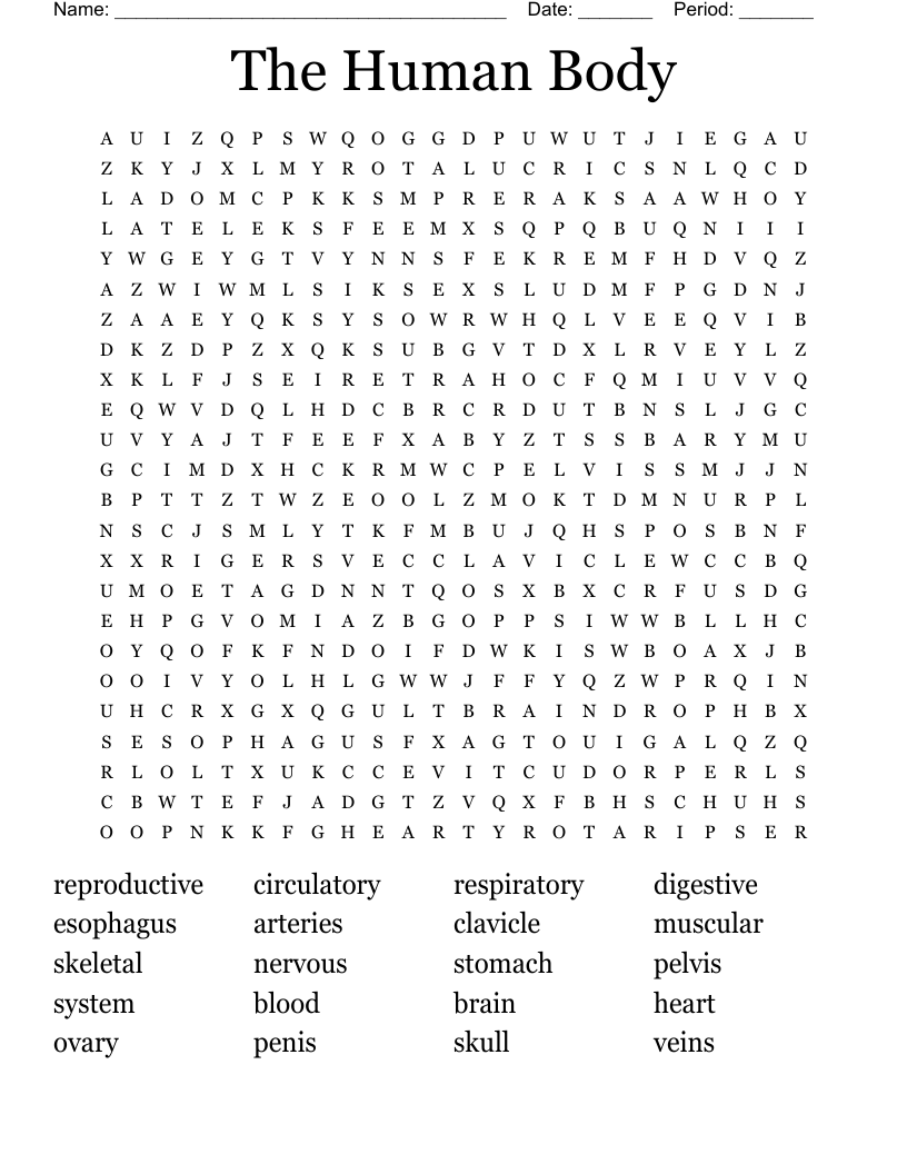 The Body Systems Word Search - WordMint