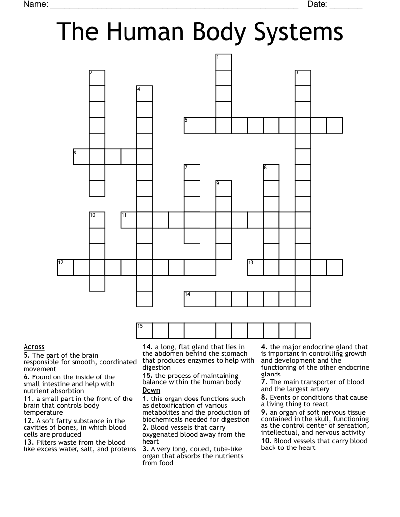 The Human Body Systems Crossword - WordMint