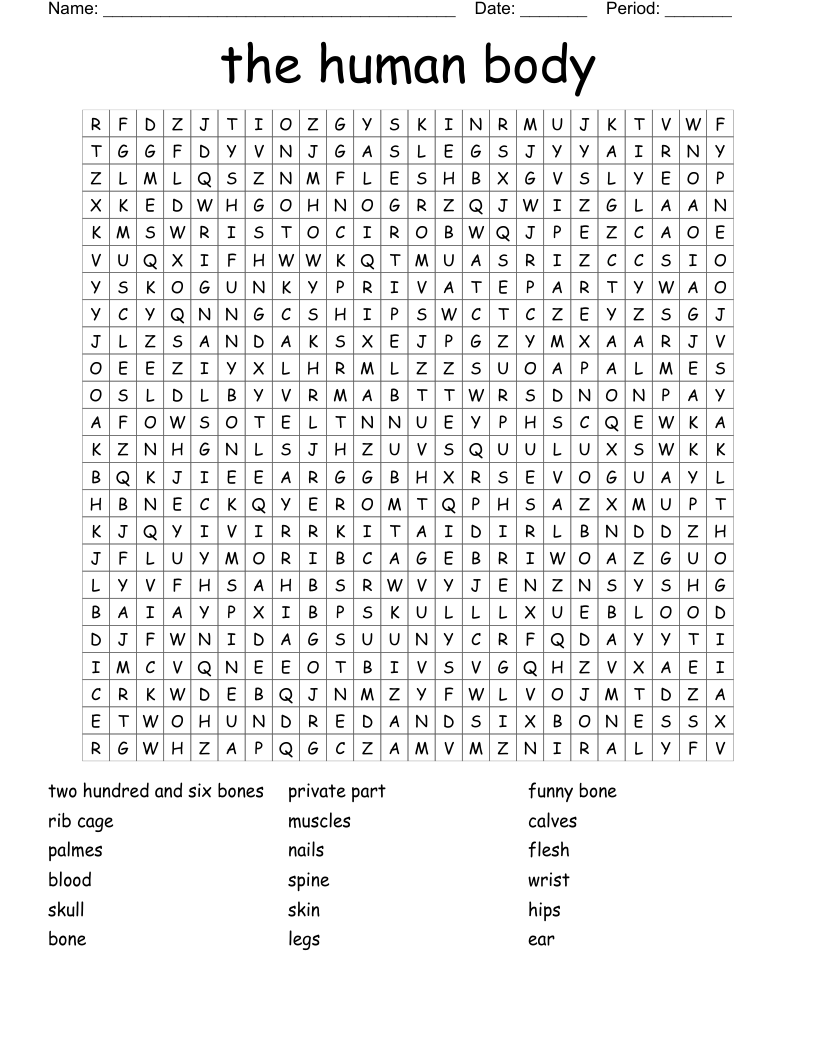 the human body Word Search - WordMint