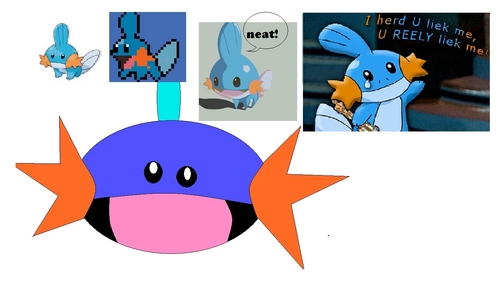 Mudkip Trap Wallpaper