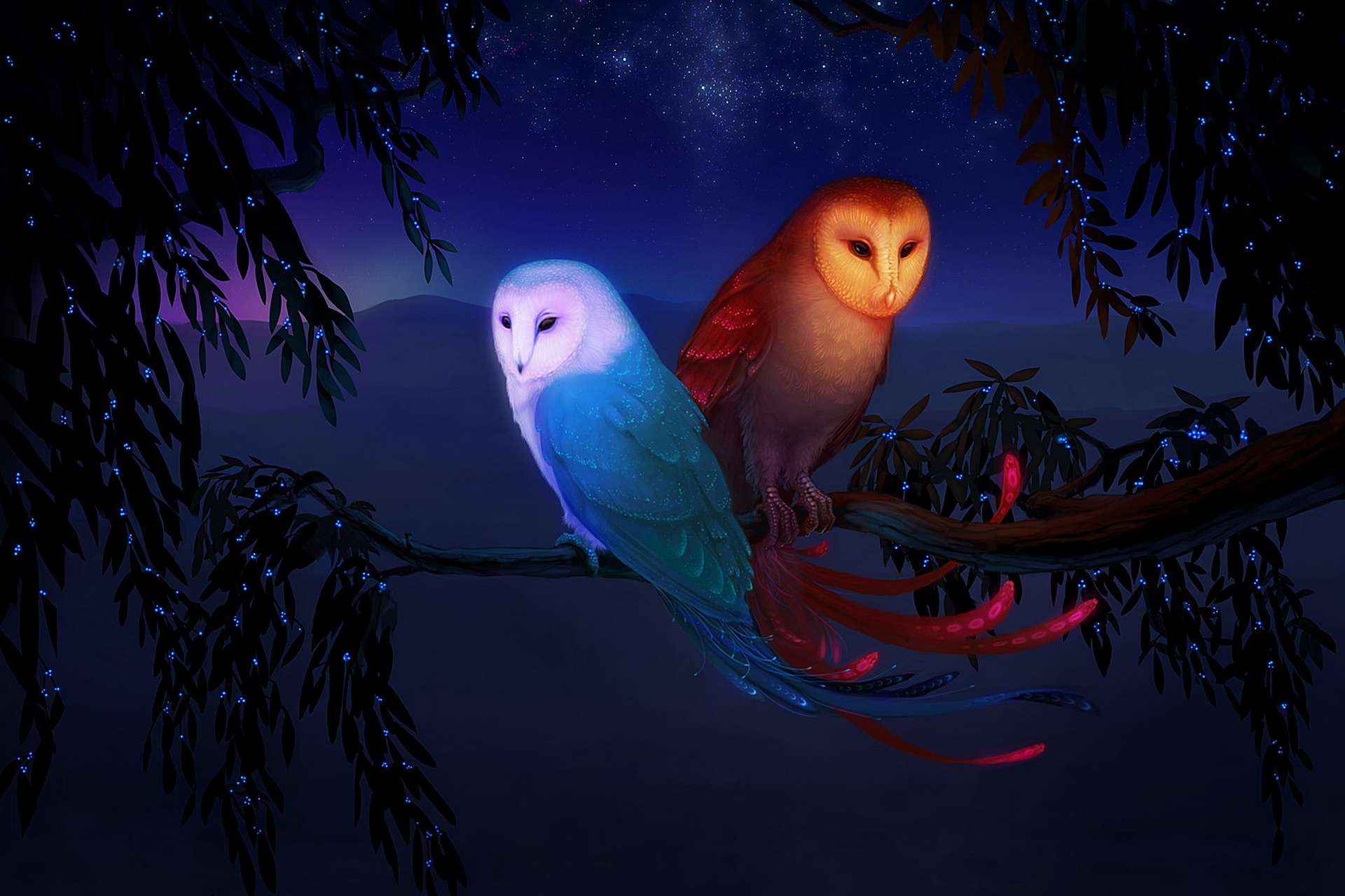 Owl Hd Wallpapers 1080p - Infoupdate.org