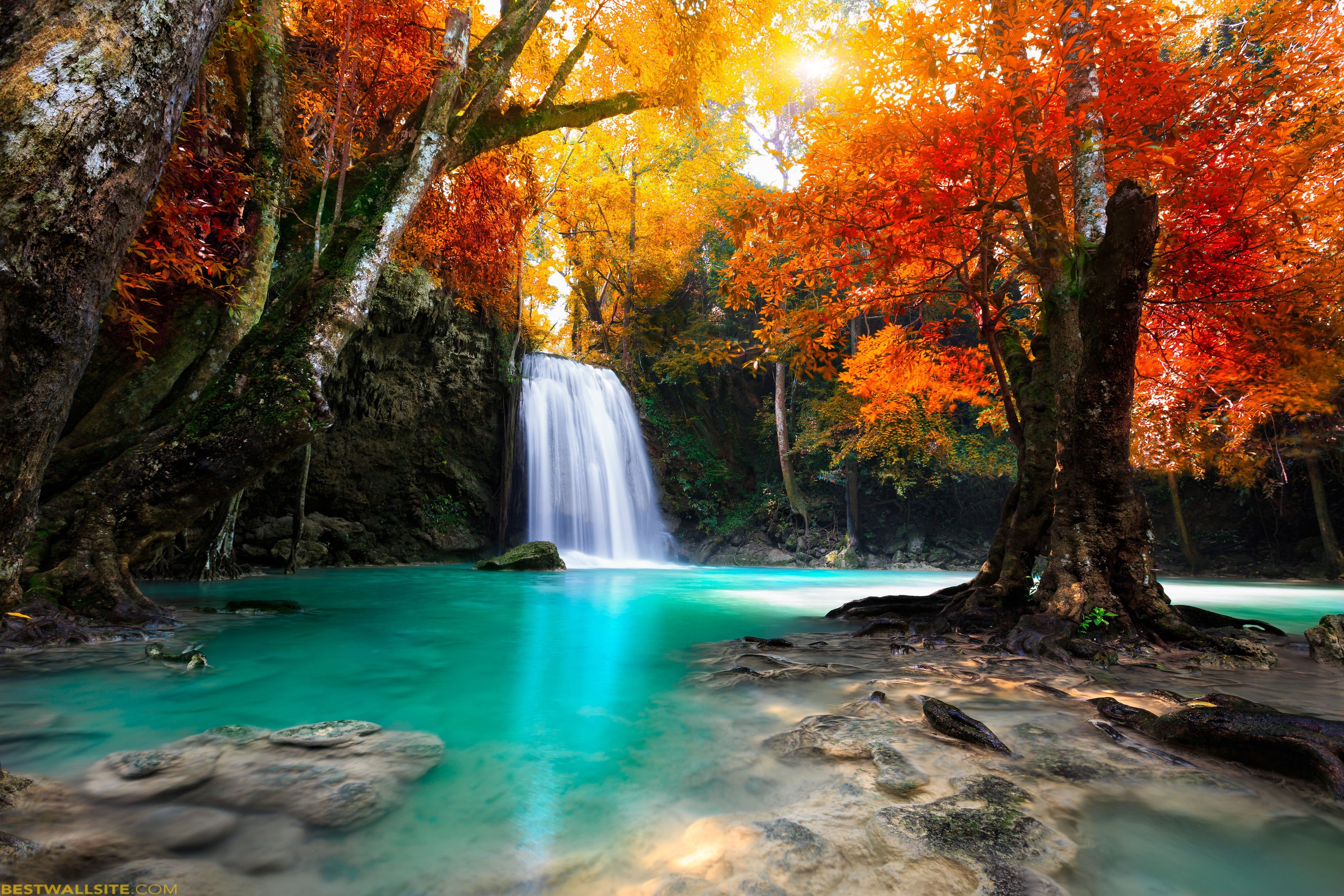 Download Forest Tree Fall Nature Waterfall HD Wallpaper