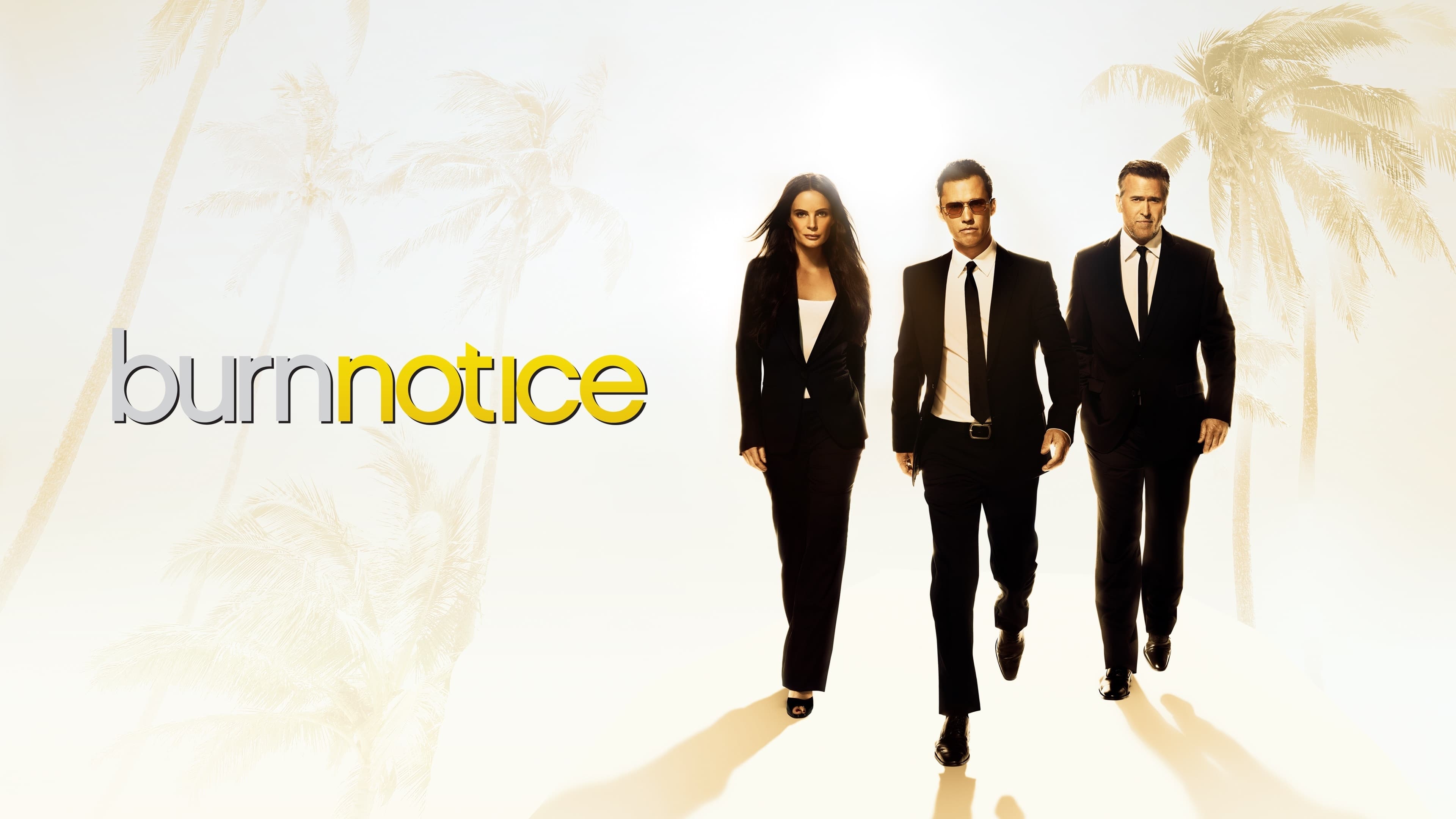 Burn Notice Season 6 Wallpaper